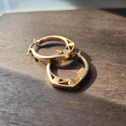 Slice of Earrings - Due