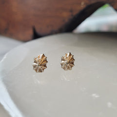 Limpet Studs