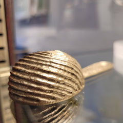 Limpet Coffee Scoop