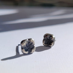 Molar Studs