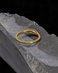 Dimension Ring