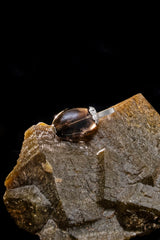 Amassed Smoky Quartz Pendant