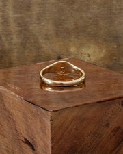 Sunspot Ring