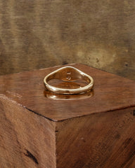 Sunspot Ring
