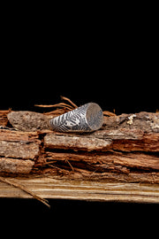 Fossil Fern Signet Ring