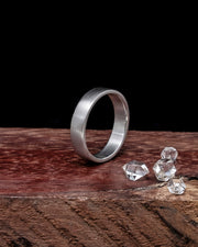 Platinum Band