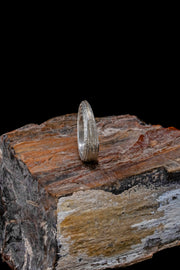 Orbit Ring - Tapered
