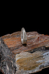 Orbit Ring - Tapered