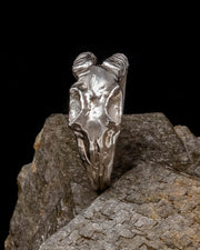 Ram Skull Ring - Silver