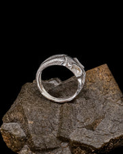 Ram Skull Ring - Silver