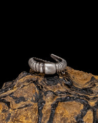 Worm Ring