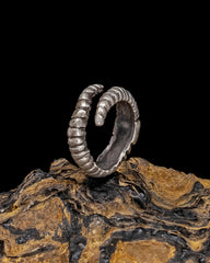 Worm Ring