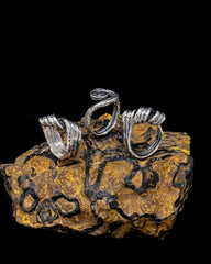 The Spiral Ribbon Ring