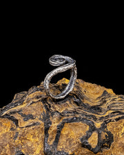 The Spiral Ribbon Ring