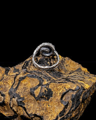 The Spiral Ribbon Ring