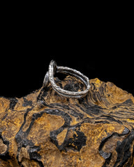 The Spiral Ribbon Ring