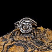 The Spiral Ribbon Ring