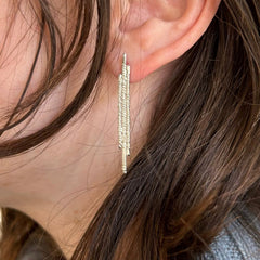 Long Ion Conductor Earrings