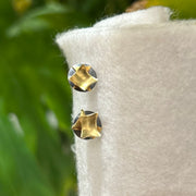 Isamu Earrings - Small