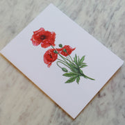 Botanical Greeting Cards