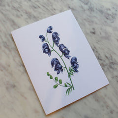 Botanical Greeting Cards