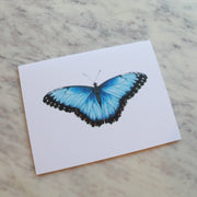 Butterflies and Moths Greeting Cards