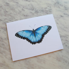 Butterflies and Moths Greeting Cards