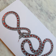 Snake Greeting Cards