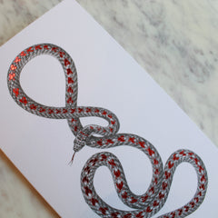 Snake Greeting Cards