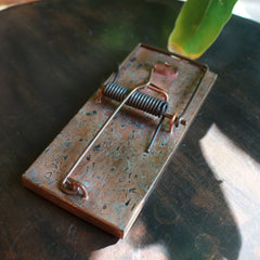 Mousetraps