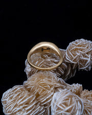 Quantum Ring