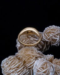 Quantum Ring