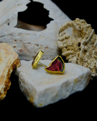 Watermelon Tourmaline Slice Earrings in Gold