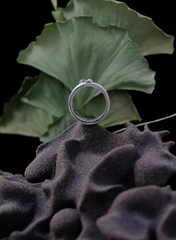 Perigee Ring