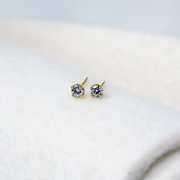 White Diamond Studs by Daniell Hudson