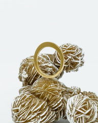 Taper Forged Ring