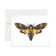 Butterflies and Moths Greeting Cards