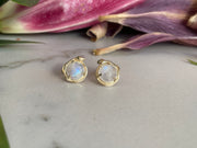 Snake Stud Earrings With Rose Cut Moonstone Gold