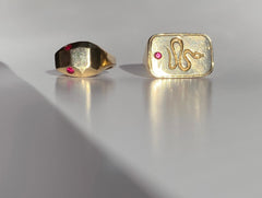 Flat Snake with Ruby Ring